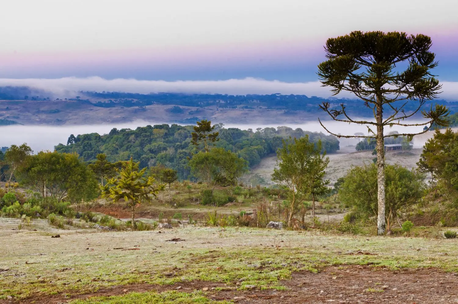 Frio ganha força com mínimas de até 5 °C no Meio-Oeste e nova rodada de chuva forte ameaça SC no fim de semana