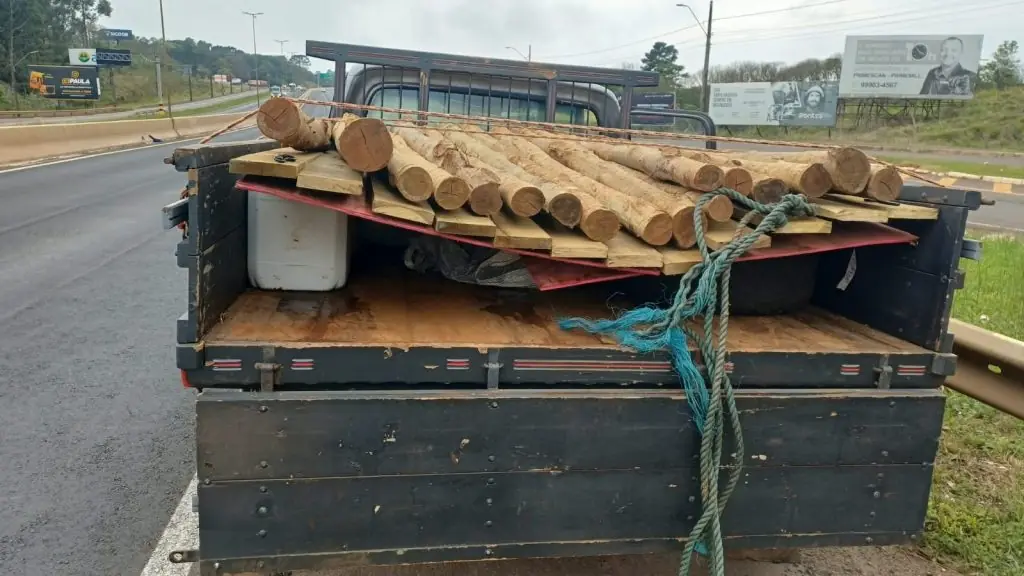PRF apreende meia tonelada de agrotóxico contrabandeado escondido sob toras de madeira no Oeste de SC