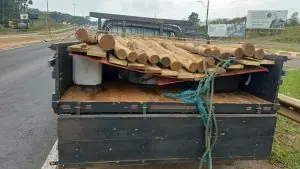 PRF apreende meia tonelada de agrotóxico contrabandeado escondido sob toras de madeira no Oeste de SC